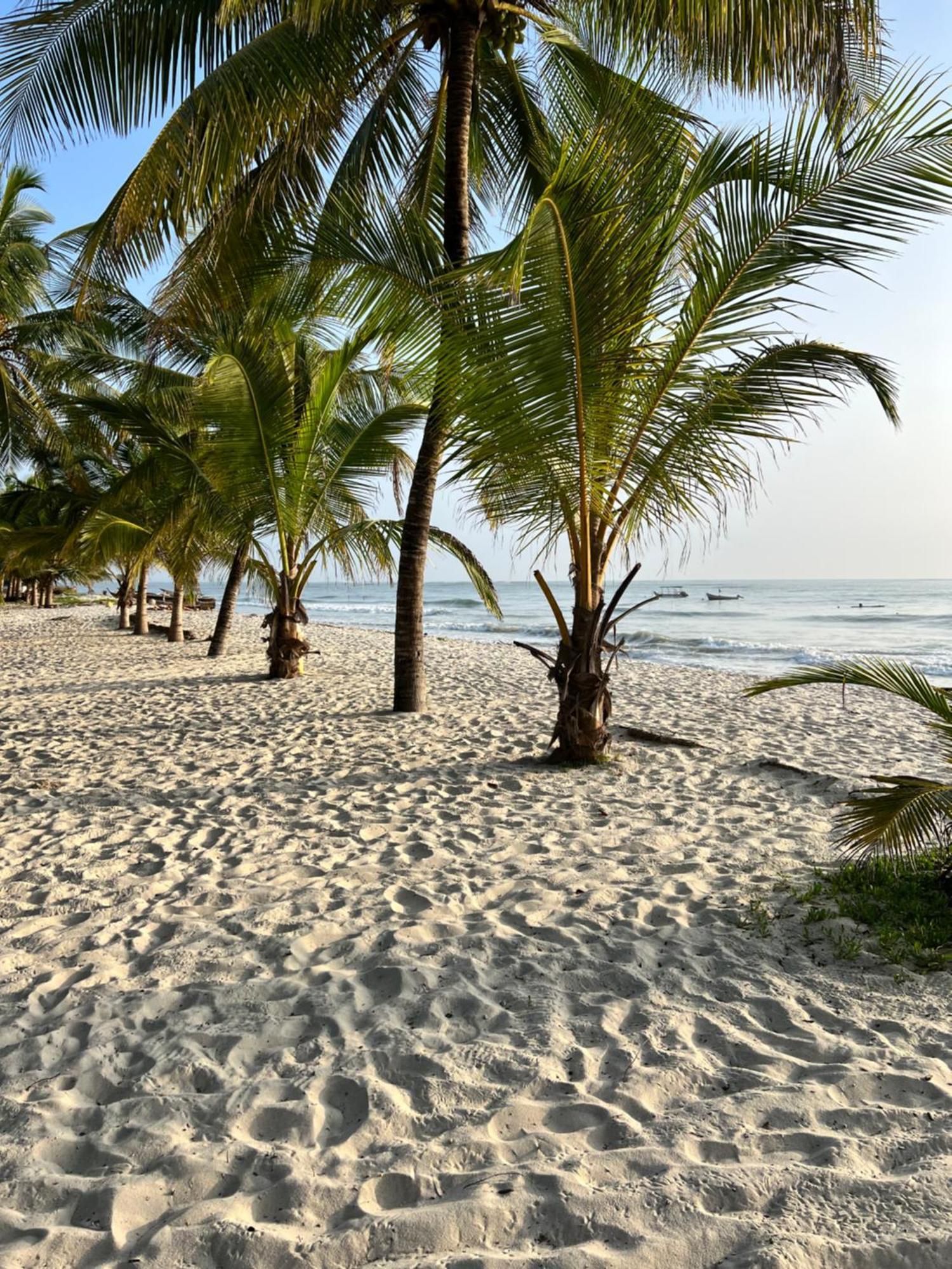Waves And Wanderlust-Diani Beach Zewnętrze zdjęcie