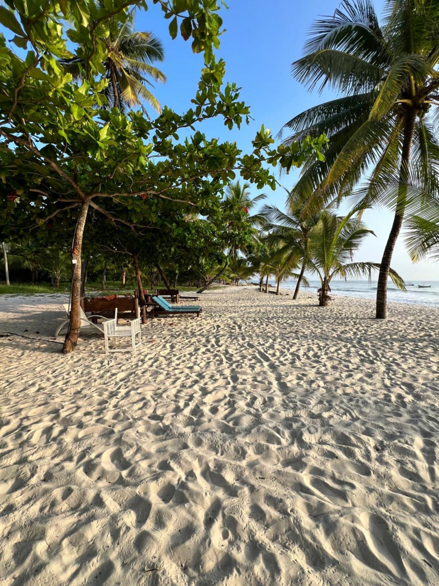 Waves And Wanderlust-Diani Beach Zewnętrze zdjęcie