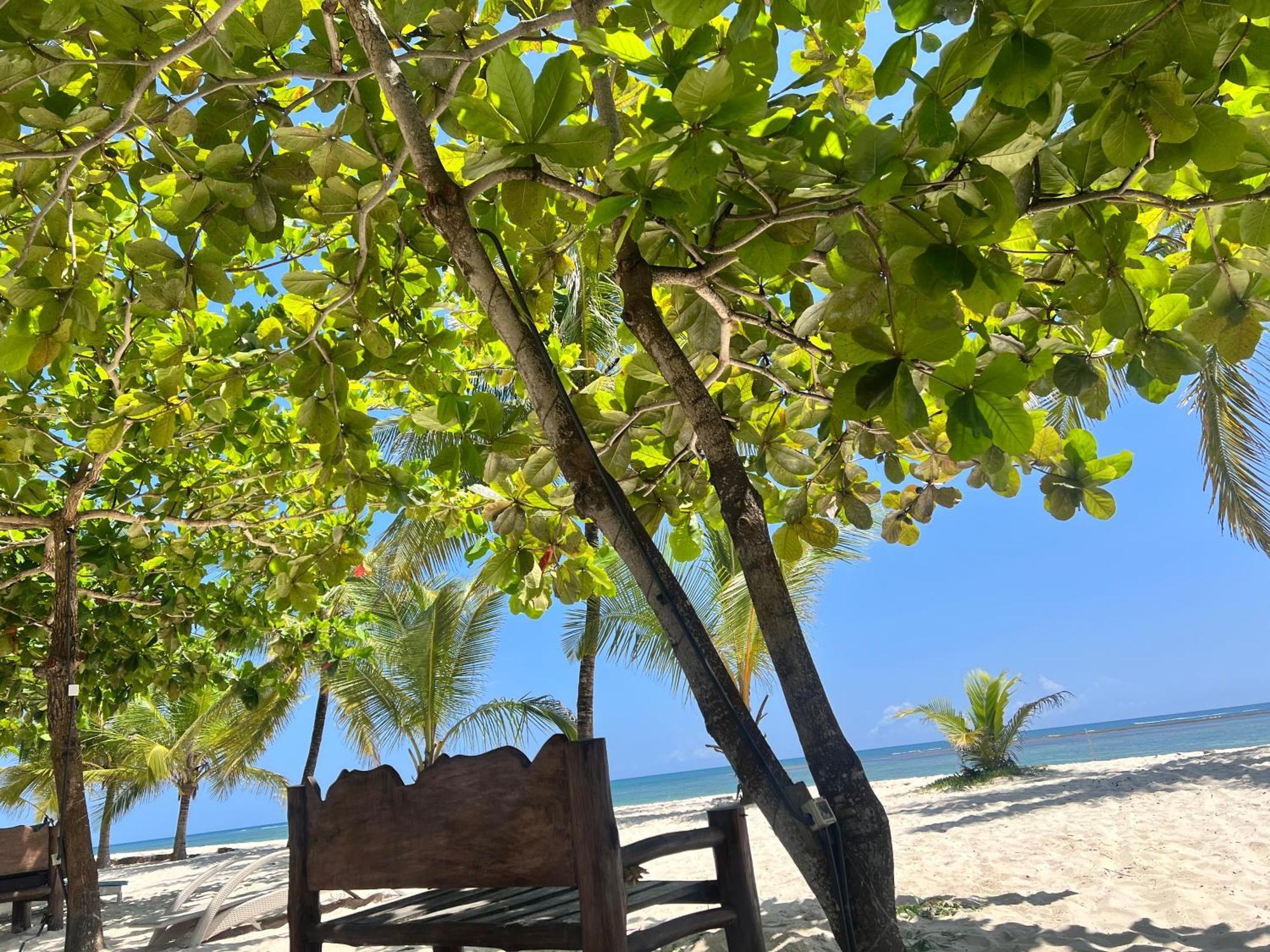 Waves And Wanderlust-Diani Beach Zewnętrze zdjęcie